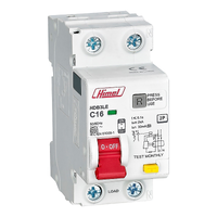 Residual Current Operated Circuit Breaker, HDB3LE, 2P, C curve, 10A, 30mA, AC