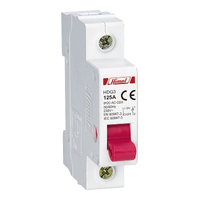 Switch disconnector HDG3 - 1P - 100 A