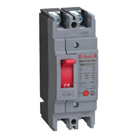 Molded case circuit breaker, HDM2-125L, 2P, 100 A, power distribution